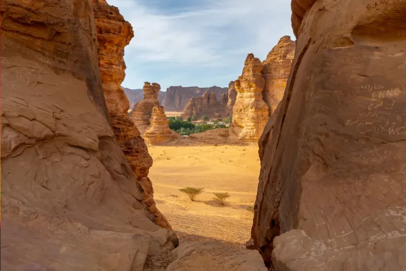 Saudi Arabia Trip Package: AlUla, Tabuk & Red Sea Escape
